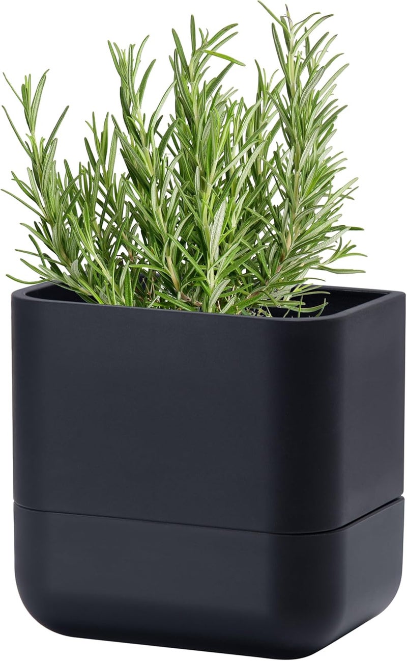 Phoenix Vine 6.5-Inch Wall Mounted Self-Watering Planter Pot for Indoor Houseplants and Herbs | Modern Hanging Planter for Window Sills, Bathroom Walls, Home & Office Décor, Black, Set of 1, 01-WP-B-1 - Image 1